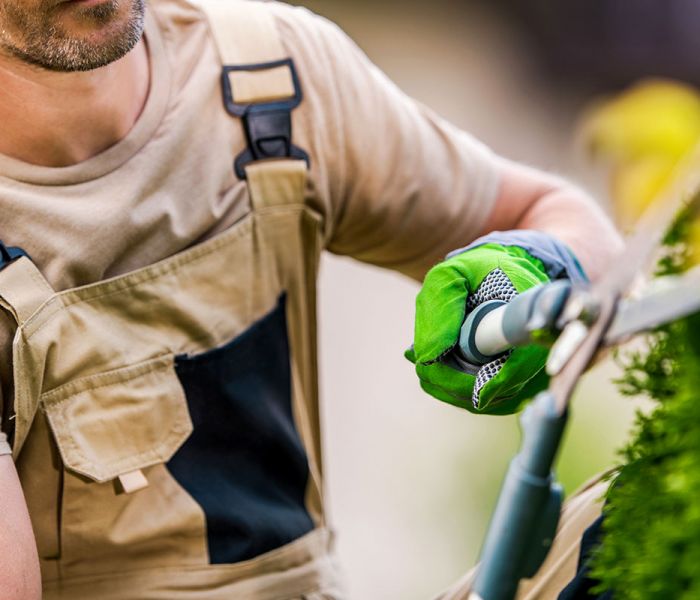 Estándar de competencia: EC1550 Prestación de servicios de jardinería, limpieza y mantenimiento de áreas verdes y pétreas.